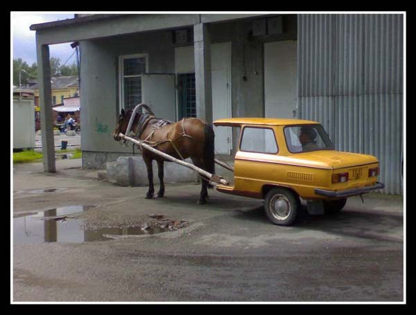 Pictures taken by surprise. Part 2 (67 pics)