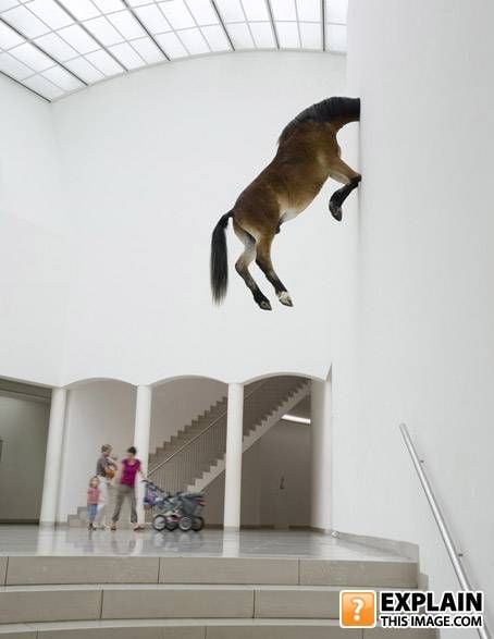 Random pictures that make no sense (55 pics)