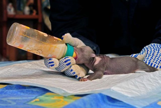 Funny picdump (97 pics)