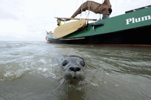 Funny picdump (97 pics)