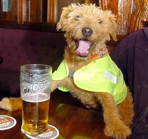 Funny picdump (97 pics)