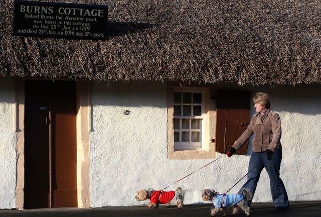 Funny picdump (97 pics)