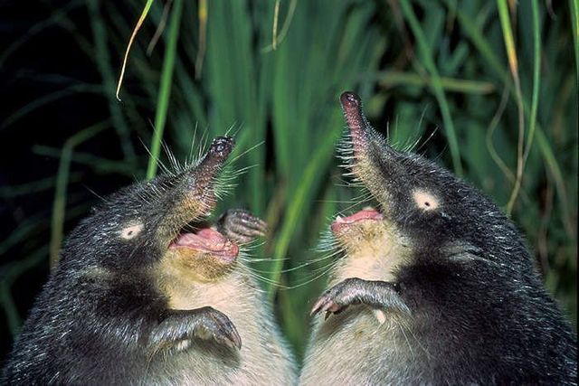 Funny picdump (97 pics)