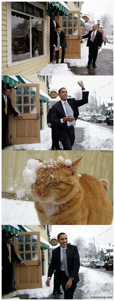 Funny picdump (107 pics)