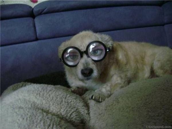Funny picdump (123 pics)