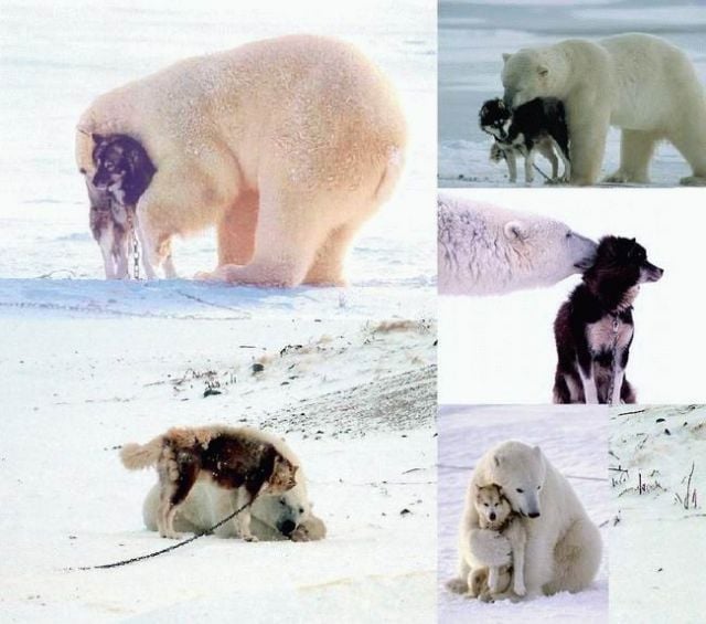 Funny picdump (123 pics)