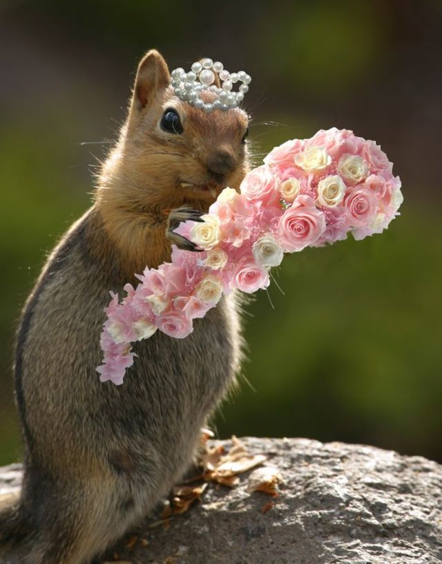 Funny picdump (125 pics)