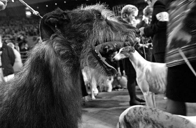 Funny picdump (125 pics)