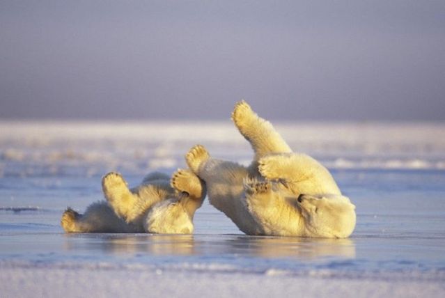 Funny picdump (125 pics)