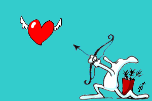 Curiosities and bonus pictures