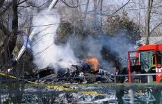 Curiosities and bonus pictures