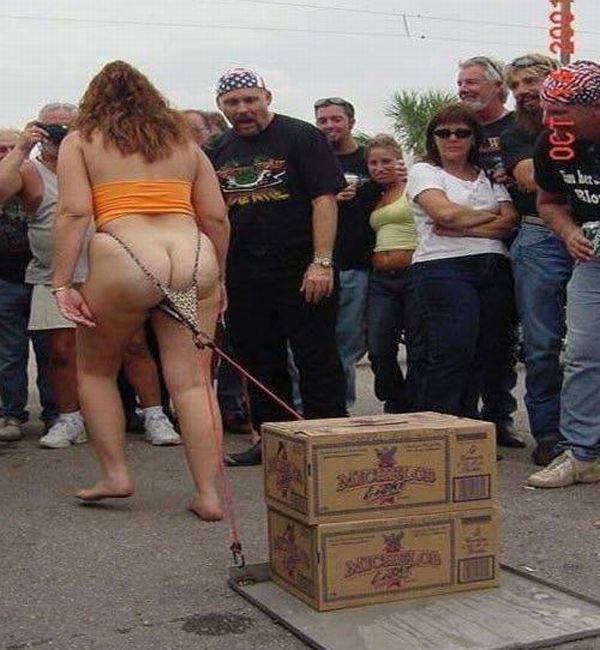 Funny picdump (154 pics)