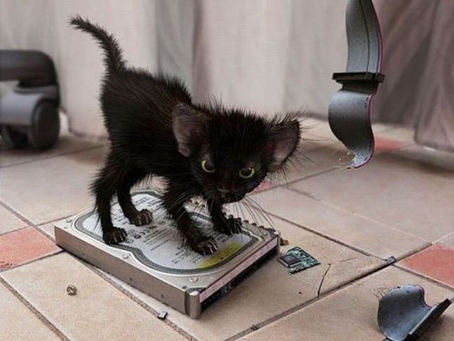 Funny picdump (129 pics)