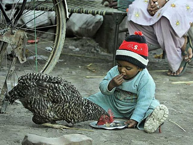 Funny picdump (129 pics)