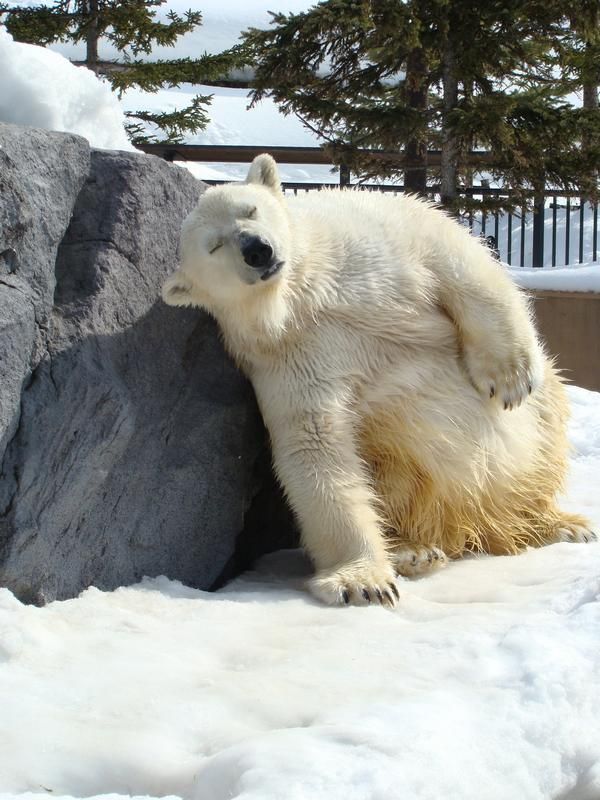 Funny picdump (129 pics)