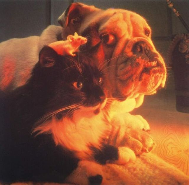 Funny picdump (129 pics)