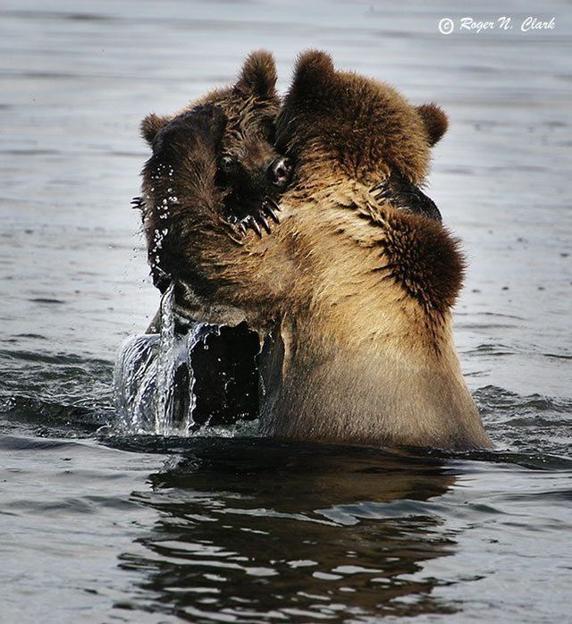 Funny picdump (129 pics)