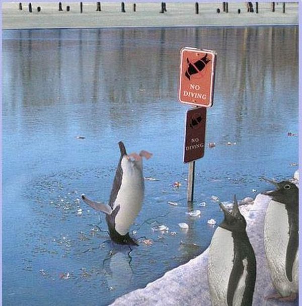 Funny picdump (129 pics)