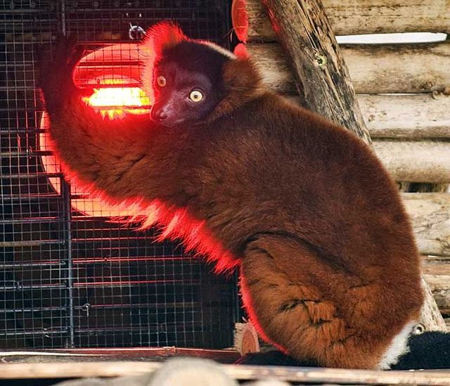 Funny picdump (129 pics)