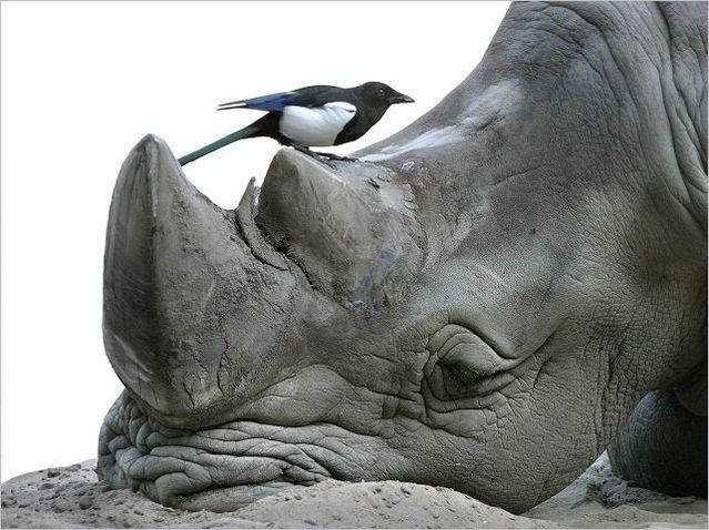 Funny picdump (129 pics)