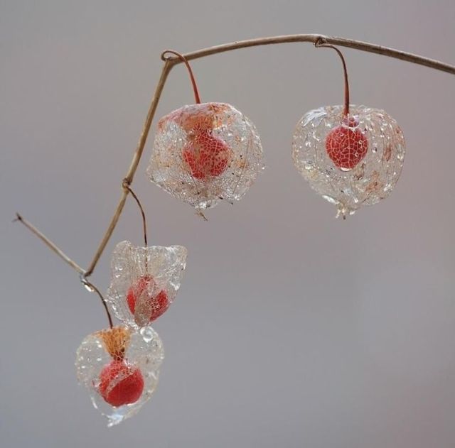 Funny picdump (129 pics)