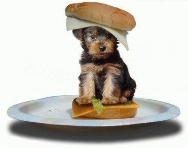 Funny picdump (129 pics)