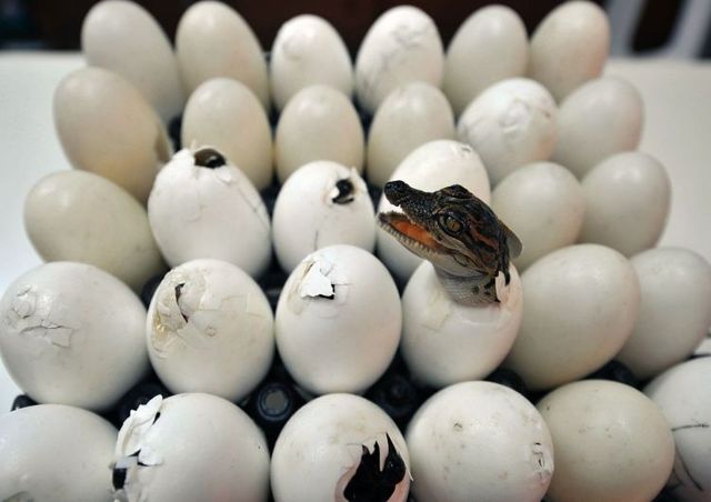 Funny picdump (129 pics)