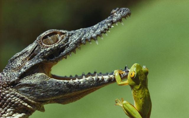 Funny picdump (129 pics)