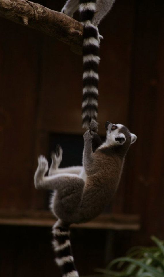 Funny picdump (129 pics)