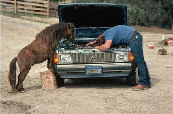 Funny picdump (129 pics)