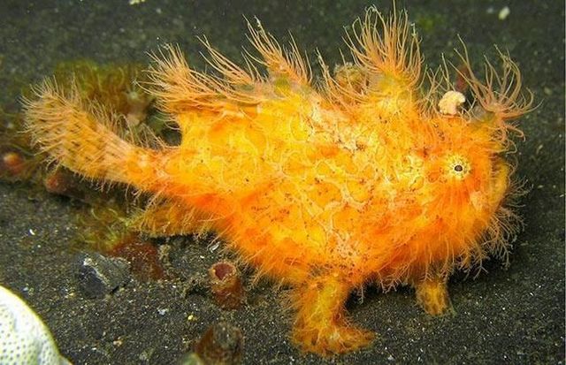 Funny picdump (129 pics)