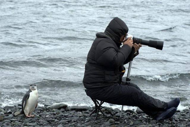 Funny picdump (129 pics)