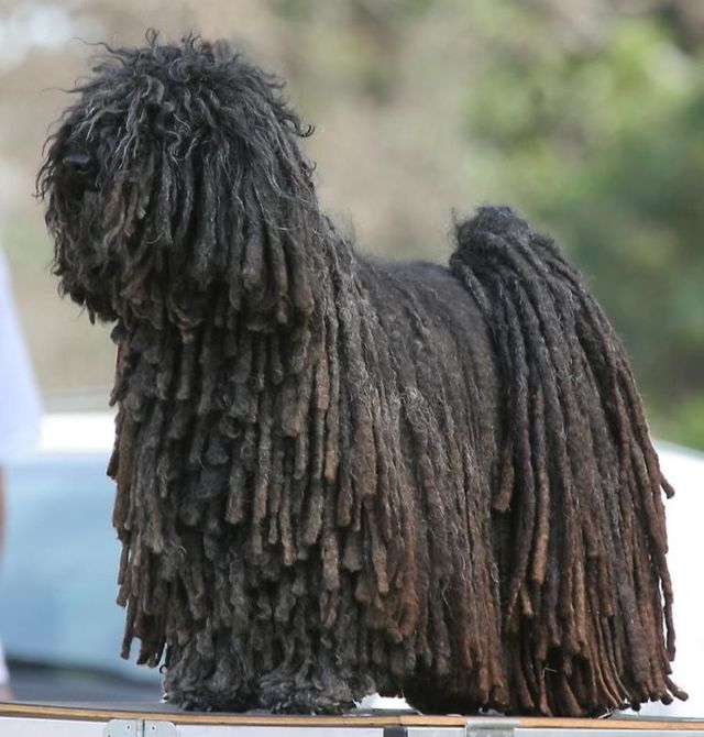 Funny picdump (129 pics)