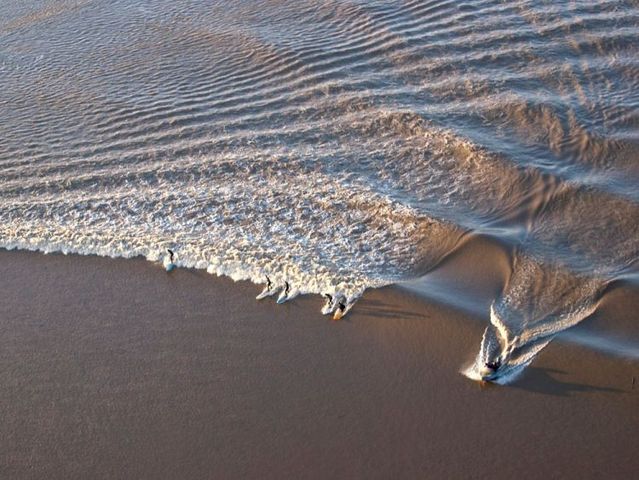 Funny picdump (100 pics)