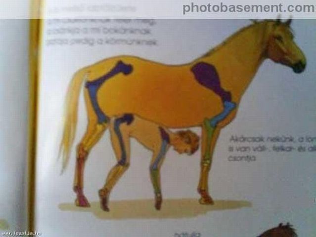 Funny picdump (100 pics)