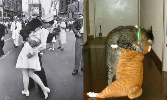 Funny picdump (100 pics)