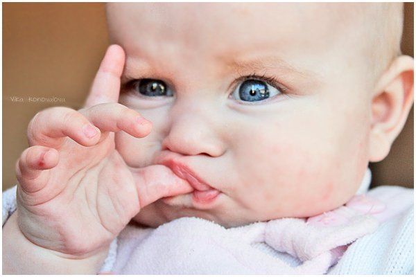 Funny picdump (100 pics)