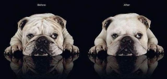 Funny picdump (100 pics)