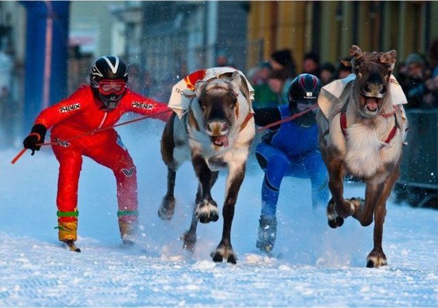 Funny picdump (116 pics)