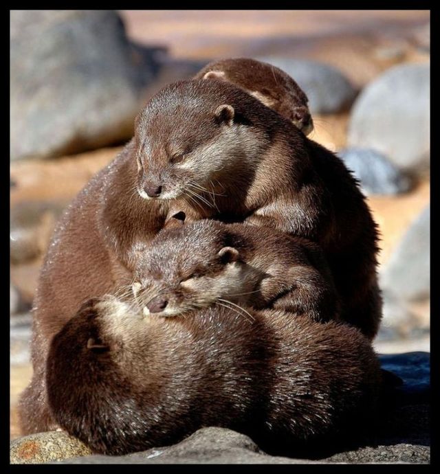 Funny picdump (116 pics)