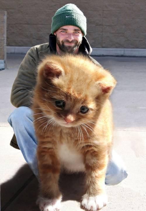 Funny picdump (116 pics)