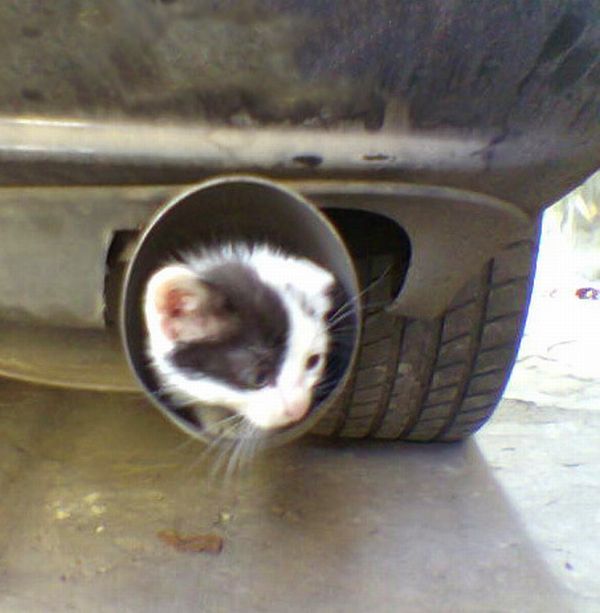 Funny picdump (116 pics)