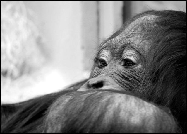 Funny picdump (116 pics)