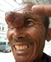 Curiosities and bonus pictures Curiosities and bonus pictures