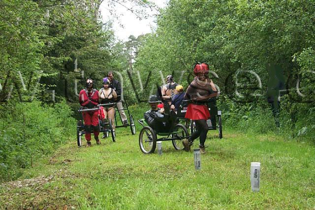 Let’s play - Pony (32 pics)