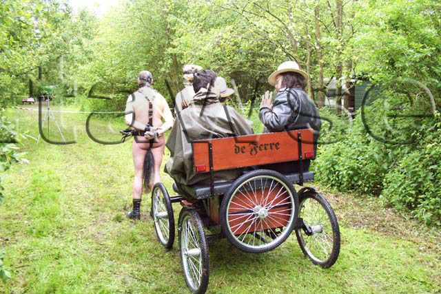 Let’s play - Pony (32 pics)