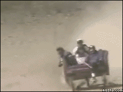 Collection of funny gif animations (53 gifs)