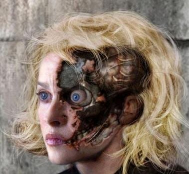 Curiosities and bonus pictures