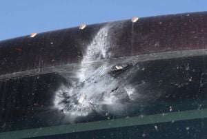 Curiosities and bonus pictures