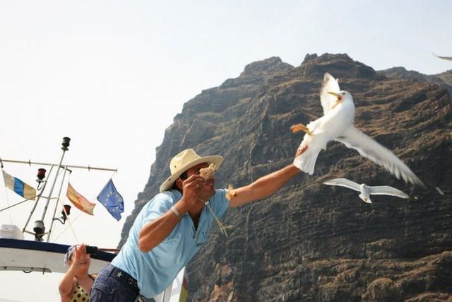 Daily picdump (108 pics)